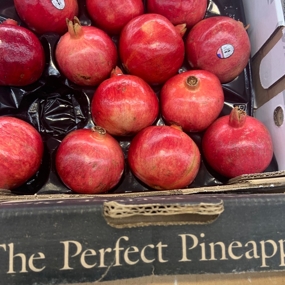 Meet your Posher, Gloria